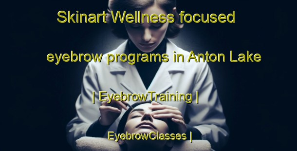Skinart Wellness-focused eyebrow programs in Anton Lake | EyebrowTraining | EyebrowClasses | SkinartTraining-Canada